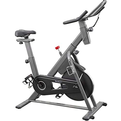 HouseFit Indoor Cycling Bike Stationary Exercise Bike Magnetic Resistance 300+ Lb Capacity Quiet Belt Drive with Comfortable Seat Cushion iPad Mount LCD digital monitor(2021 New Version)