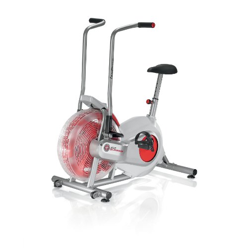 Schwinn Fitness AD2 Airdyne Exercise Bike (Discontinued)