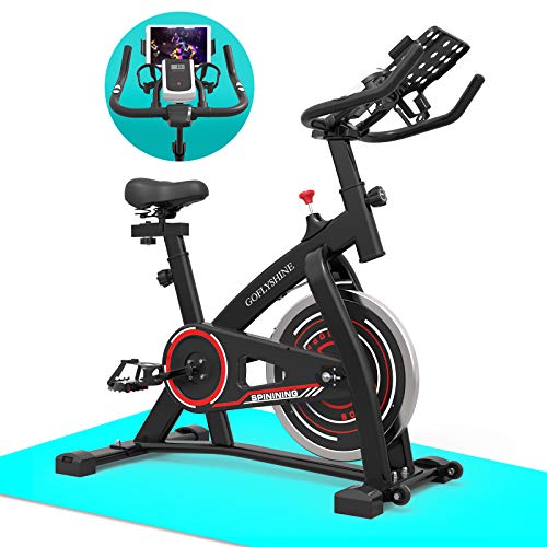 GOFLYSHINE Exercise Bikes Stationary,Excersize Bike for Home Indoor Cycling Bike for Home Cardio Gym,Workout Bike with 35 LBS Flywheel